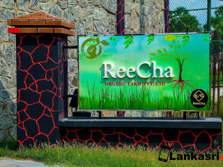 ReeCha Organic Farm (Pvt) Ltd